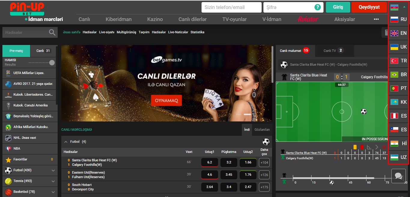 pin-up casino apk yukle